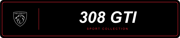 Cache plaque Peugeot 308 GTI