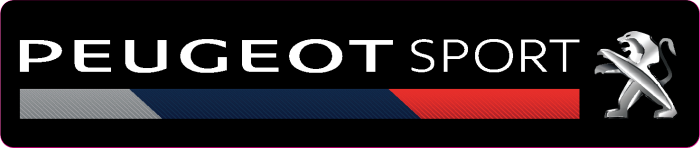Cache plaque Peugeot Sport2
